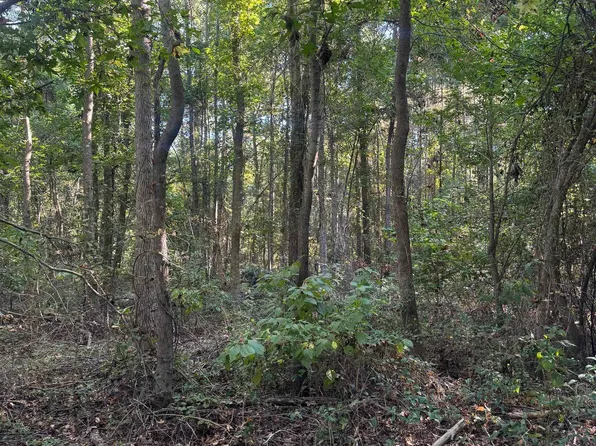 Tbd Fm 346, Tyler, TX 75703