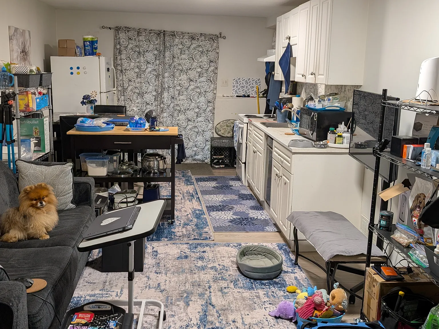 1 bed, 600 sqft, $1,300 — Photo 4