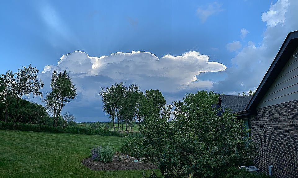 Backyard towards Cuba Marsh