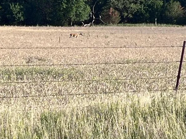 1560th Rd, Mangum, OK 73554