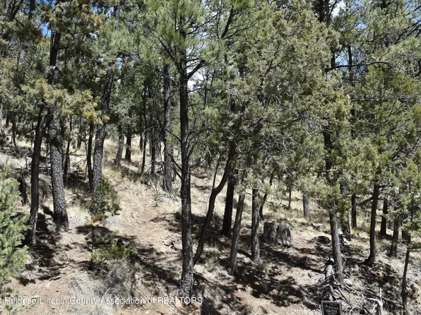 0 Lake Shore Dr, Alto, NM 88312