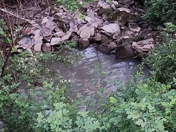 2nd image of 1 Newton Rd