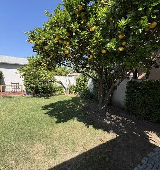 1768 S Fairfax Ave — Photo 28