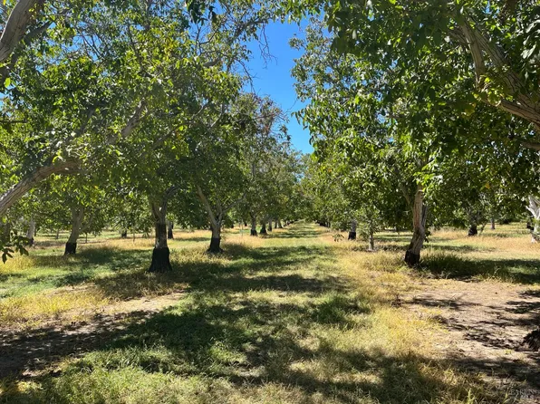 9029 Gaddini Rd, Winters, CA 95694