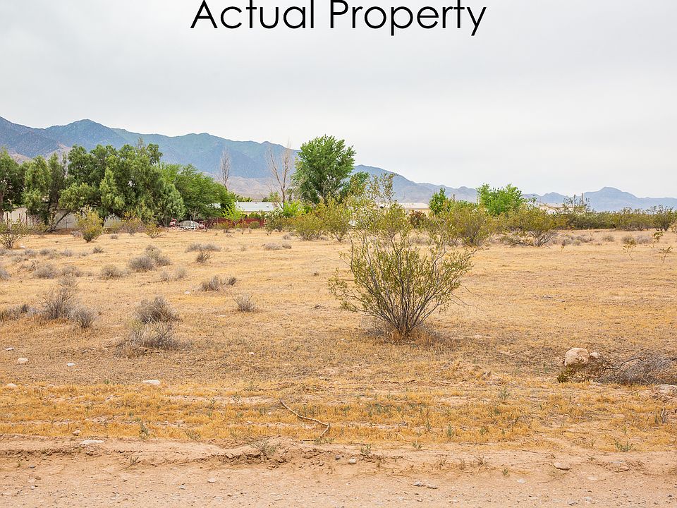 Actual Property
