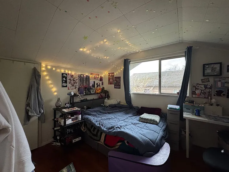 5 Bed 1.5 Bath in Fairhaven Close to Everything On a Bus Line — Photo 32