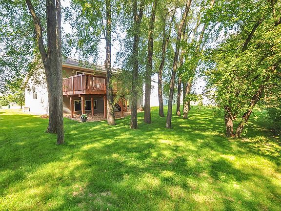 Wooded back yard