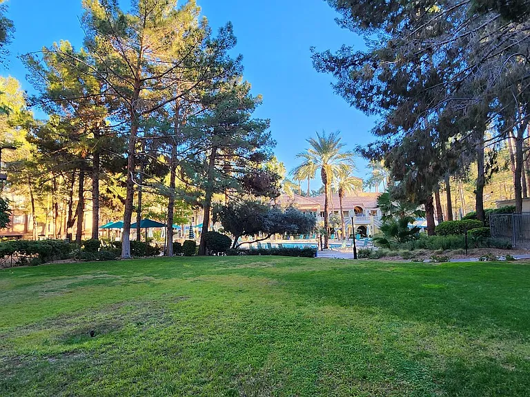 210 E Flamingo Rd #326 — Photo 47
