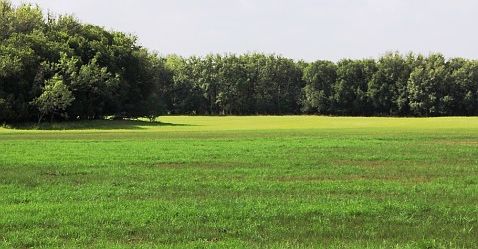 4th image of 101 County Road 418