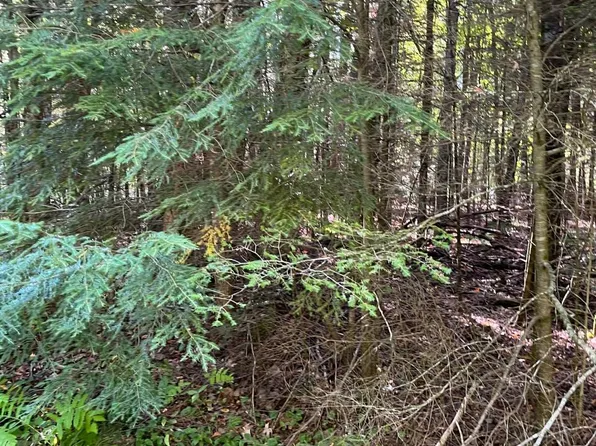 On Wistful Vista Rd, White Lake, WI 54491