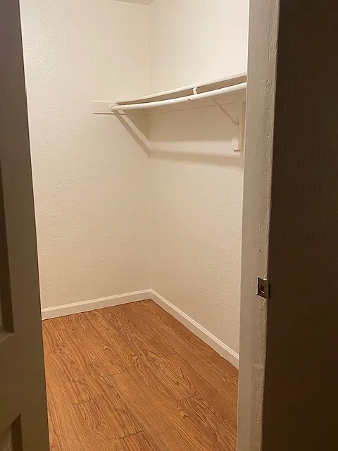 1 bed, 875 sqft, $1,500 — Photo 3