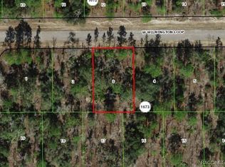 2172 W Wilmington Loop, Citrus Springs, FL 34434