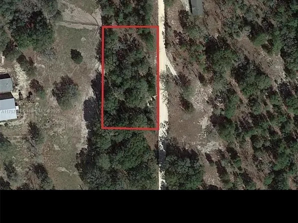 29 Ter NW Lot 8, Bell, FL 32619