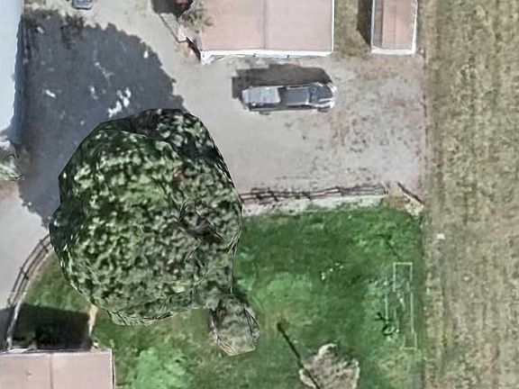 3rd image of 1157 E 12th Ave