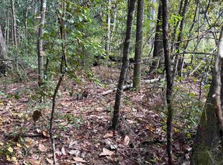 Sweetwater Ln, Tallahassee, FL 32311