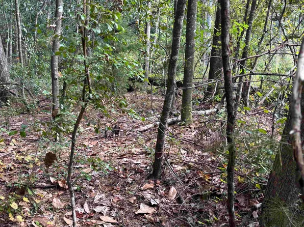 Sweetwater Ln, Tallahassee, FL 32311