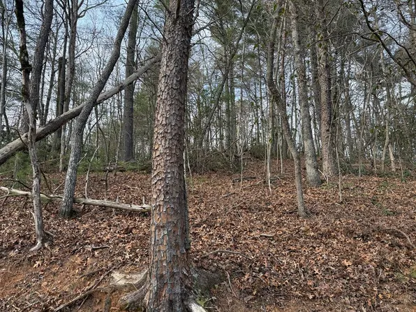 5 Ideal Acres Rd, Otto, NC 28763