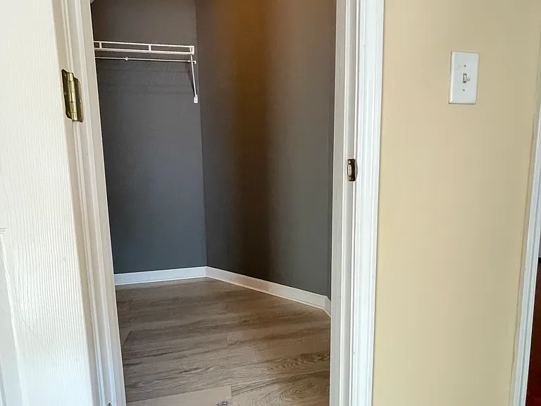 Guest bedroom walk-in closet
