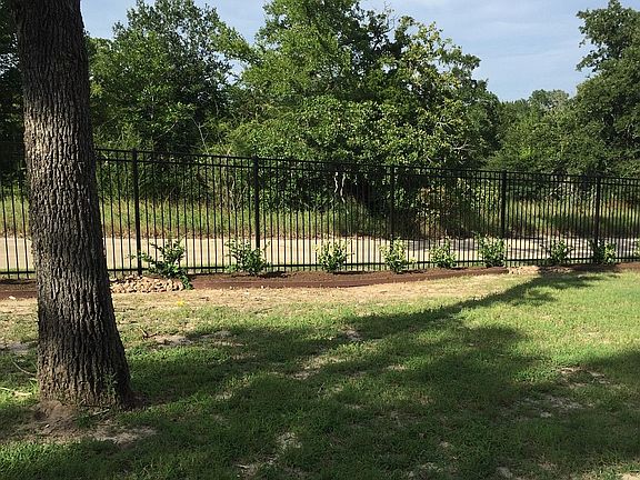 Large Landscaped Backyard