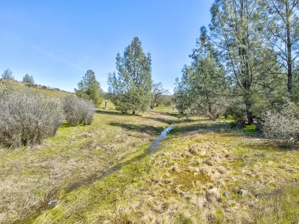 13012 State Highway 124, Ione, CA 95640