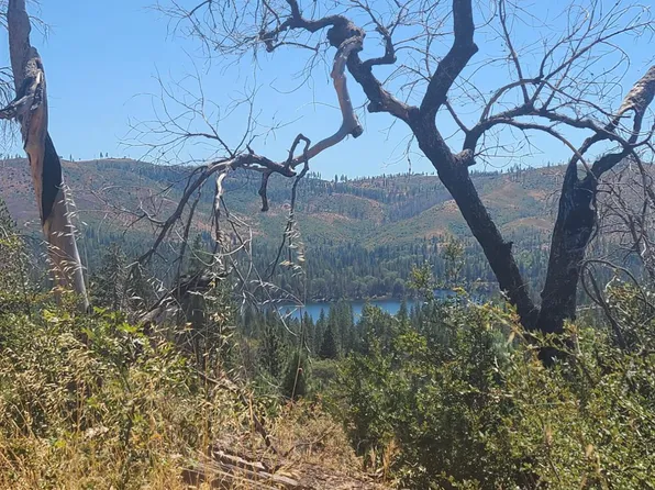 Hogg Ranch Rd, Oroville, CA 95965