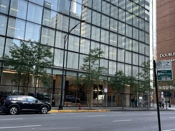 600 N Fairbanks Ct Unit 1406, Chicago, IL 60611