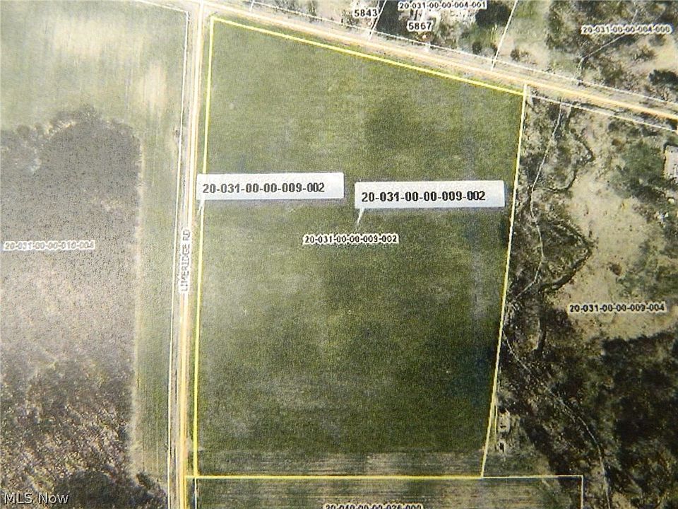1st image of Pioneer Trl