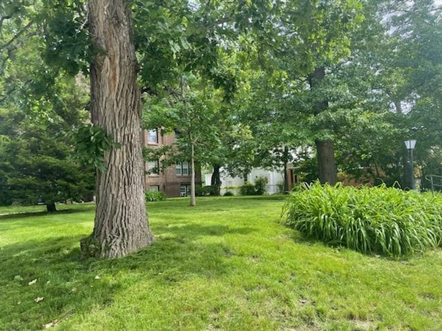 Greenwood — Photo 2