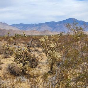 0 S Jesse James Rd, Yucca, AZ, 86438