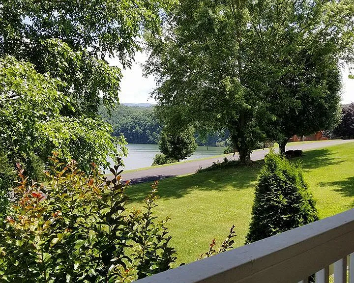 Lake view in summer
