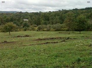 468 Anderson Hill Rd, Candor, NY 13743