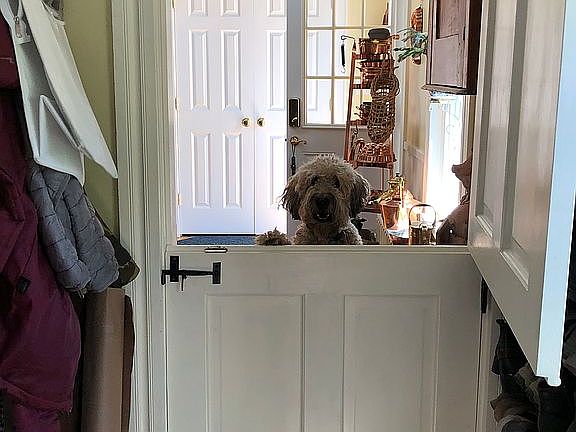 dutch door to large pantry