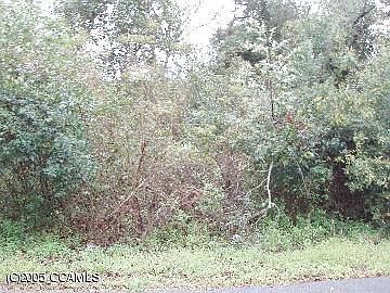 2nd image of 133 Loblolly LOT 12