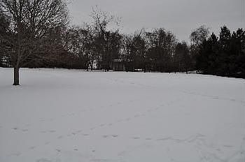 1.1 Acre Lot