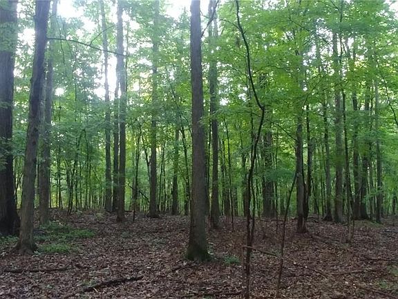 5th image of 3636 County Road 40