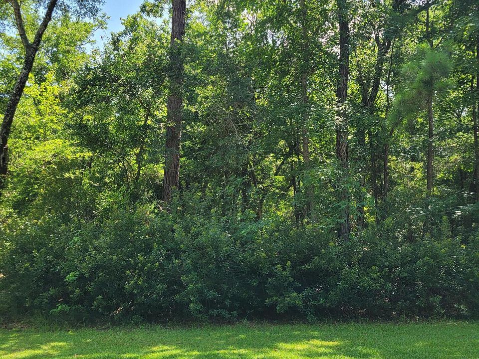 2nd image of 3607 White Drive