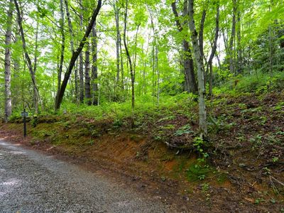 On Hidden Springs Road, Highlands, NC, 28741