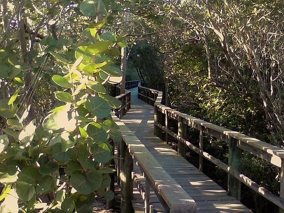 Nature Trail 
