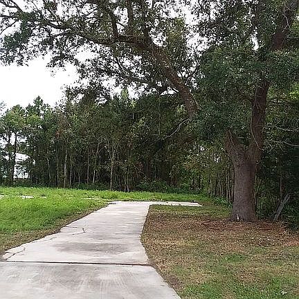 Lot driveway and oak tree.