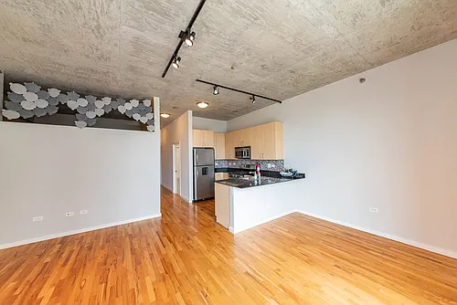 1620 S Michigan Ave Photo 1