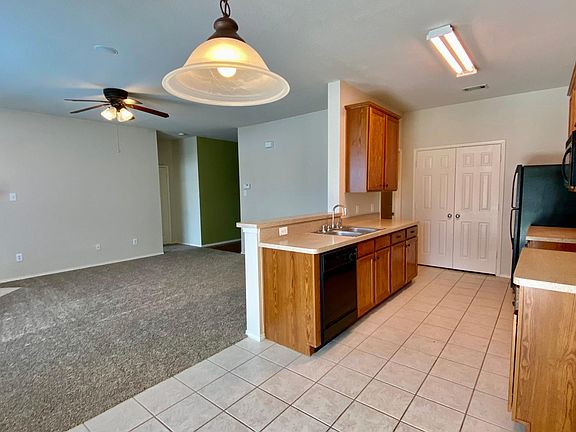 Kitchen /Living r