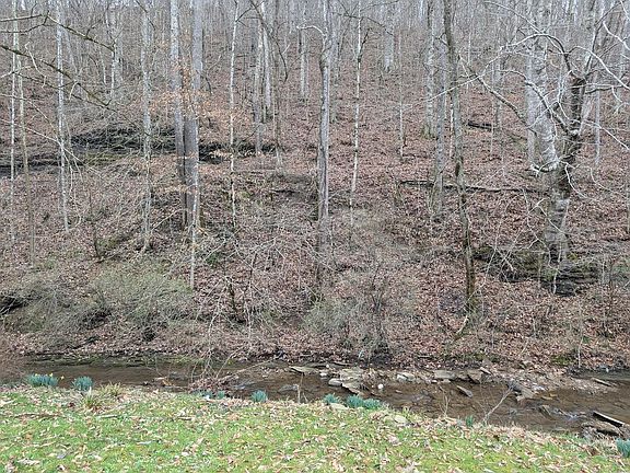 3rd image of 456 Arnetts Fork Rd