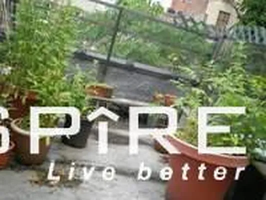 Rented by Spire Group | media 11