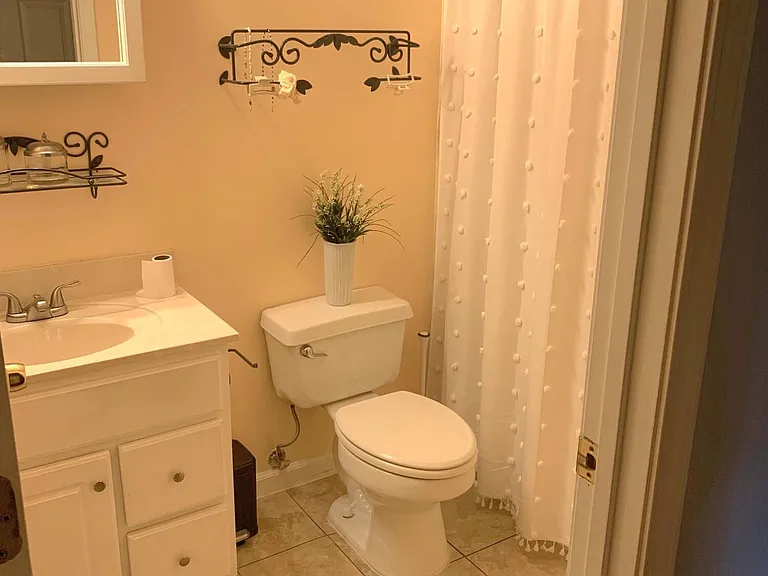 541 N Holston River Dr — Photo 10