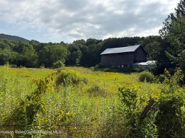 1006 Gladstone Hollow Road, Andes, NY 13731