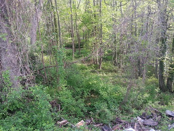 Wooded lot backs up to park.