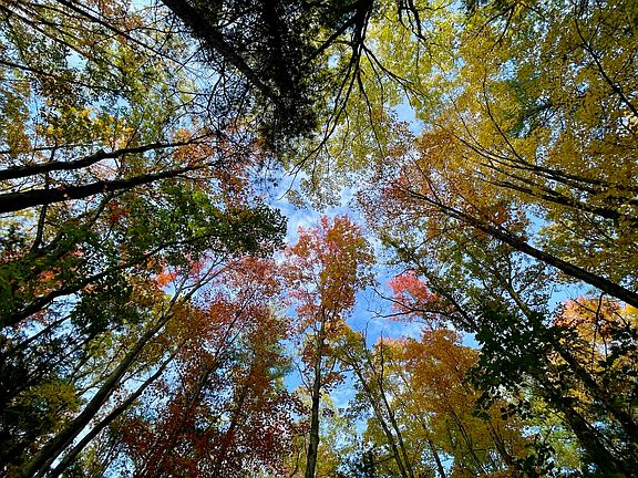 4th image of 10652 N River Rd #E