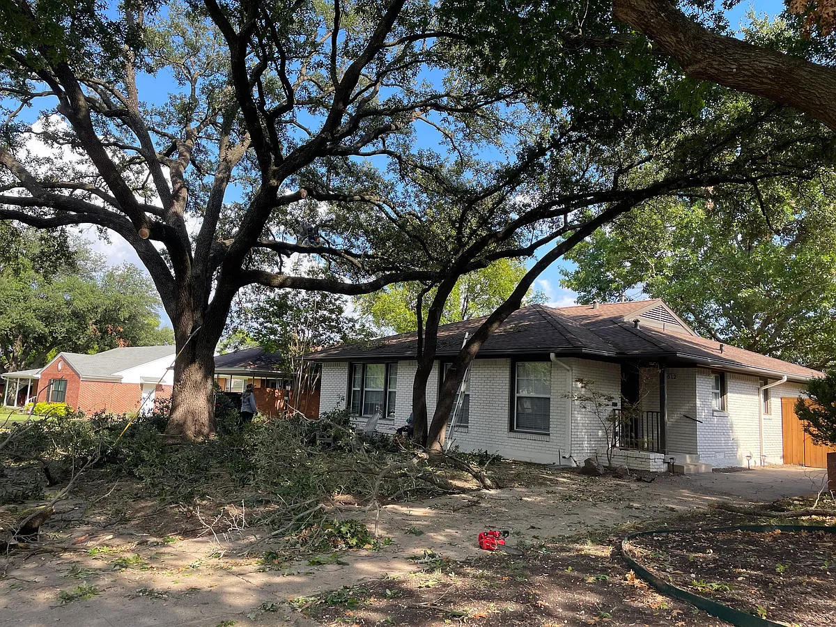 Building Photo - 6445 Ravendale Ln