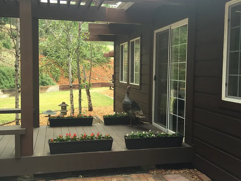 Rimrock Dr — Photo 3