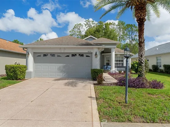 18735 ROLLING HILLS LOOP, HUDSON, FL 34667